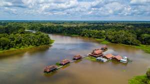 Amazônia